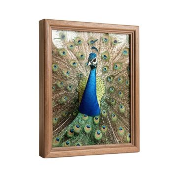 `` Peacock '' - 2 Piece Wrapped Canvas Print