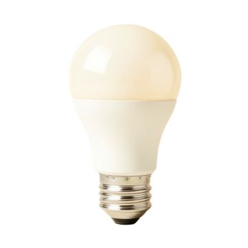 40 Watt