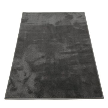 Emesa Shag Dark Gray Area Rug
