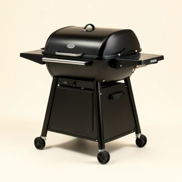 Megamaster 5-Burner Propane Gas Grill (synthetic illustration; no displayed measurements)