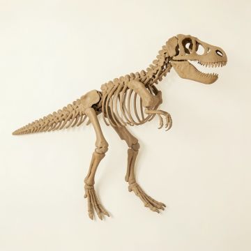 Alvie Dinosaur Skeleton For Boys Room T-Rex Skeleton Wall Decal (synthetic illustration; no displayed measurements)