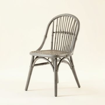 Aspen Brook Dining Chair - Gray (synthetic illustration; no displayed measurements)