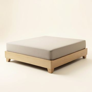 Karla Upholstered Low Profile Platform Bed (synthetic illustration; no displayed measurements)
