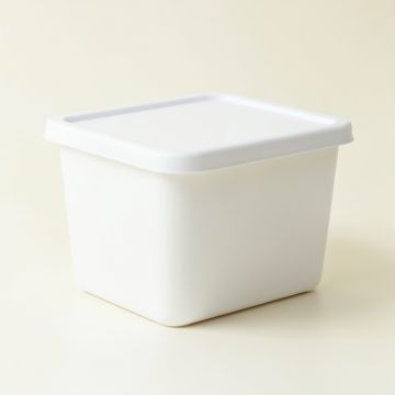 Fern Bridge Closed Outdoor Storage Box - White (synthetic illustration; no displayed measurements)
