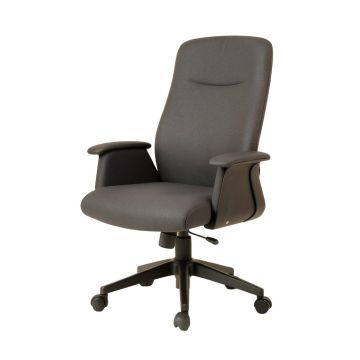 Enosburg Ergonomic Executive Chair