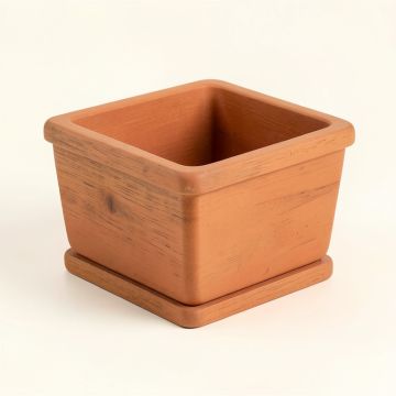 Vale Brook Empty Raised Planter - Terracotta (synthetic illustration; no displayed measurements)