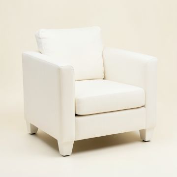 21.75 '' Wide Armchair (synthetic illustration; no displayed measurements)