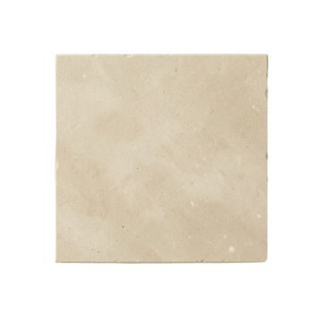 Heath Branch Uninstalled Square Decorative Tile - Beige