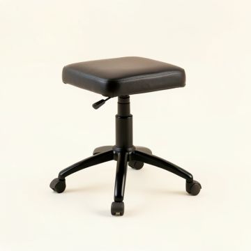 Height-Adjustable Stool Salon Chair (synthetic illustration; no displayed measurements)