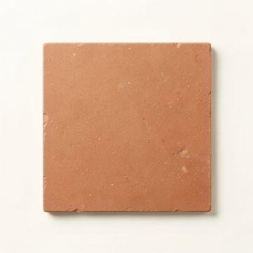 Meadow Bend Uninstalled Square Decorative Tile - Terracotta (synthetic illustration; no displayed measurements)