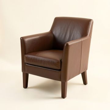 Eicher Upholstered Dining Chair (synthetic illustration; no displayed measurements)