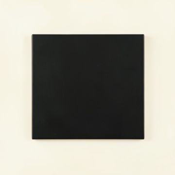 Brook Branch Uninstalled Square Decorative Tile - Black (synthetic illustration; no displayed measurements)