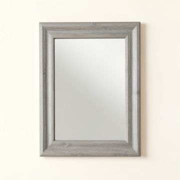 Juniper Canyon Framed Wall Mirror - Gray (synthetic illustration; no displayed measurements)