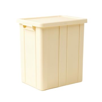 Slate Canyon Closed Outdoor Storage Box - Ivory (synthetic illustration; no displayed measurements)