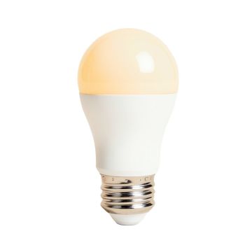 60 Watt Equivalent