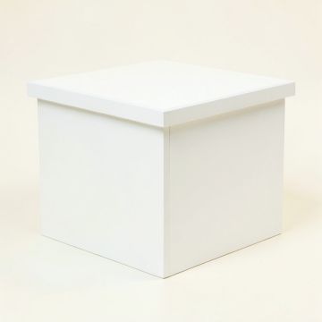 Moss Brook Closed Outdoor Storage Box - White (synthetic illustration; no displayed measurements)