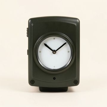 Acanthus Indoor/Outdoor Wall Clock And Thermometer (synthetic illustration; no displayed measurements)