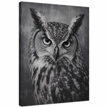 The Owl By Nicklas Gustafsson - Wrapped Canvas Graphic Art Print