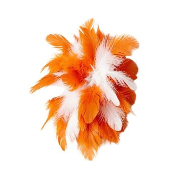 Feather Wall Décor