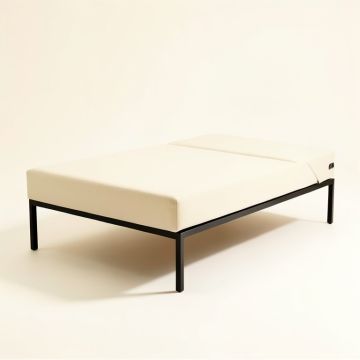 Parnassus Twin Daybed (synthetic illustration; no displayed measurements)