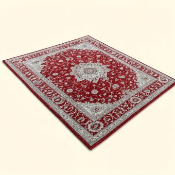 Regner Power Loom Red/Light Gray Rug (synthetic illustration; no displayed measurements)
