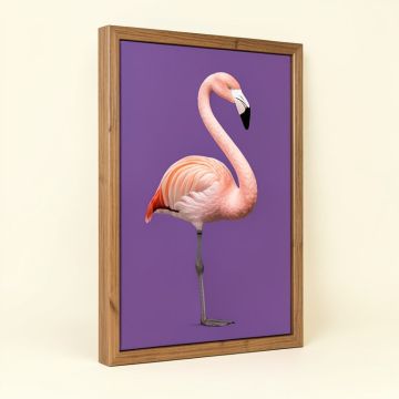 Placido Flamingo - Print On Canvas (synthetic illustration; no displayed measurements)