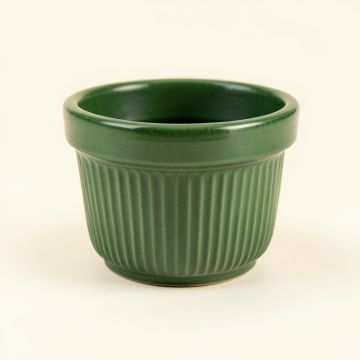 Briar Bridge Empty Planter - Green (synthetic illustration; no displayed measurements)