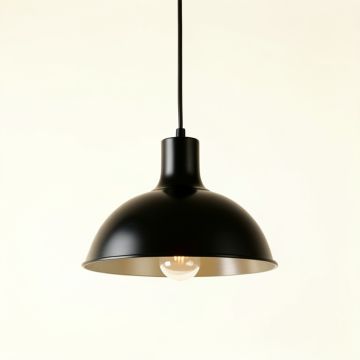 Briar Bluff Pendant Light Suspended From One Plain Cable - Black (synthetic illustration; no displayed measurements)