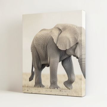Elephant - Wrapped Canvas Print (synthetic illustration; no displayed measurements)