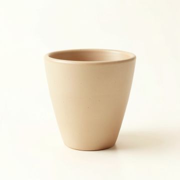 Shore Crest Empty Planter - Beige (synthetic illustration; no displayed measurements)