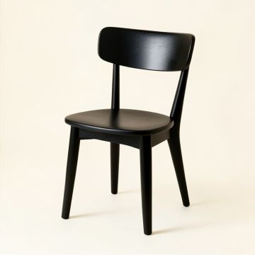 Slate Canyon Dining Chair - Black (synthetic illustration; no displayed measurements)
