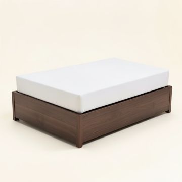 Feddo Daybed With Trundle (synthetic illustration; no displayed measurements)