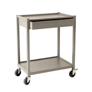 Hazel Canyon Empty Rolling Workshop Cart - Gray