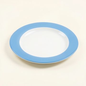 Heerenveen Melamine 9.25 '' Salad Plate (synthetic illustration; no displayed measurements)