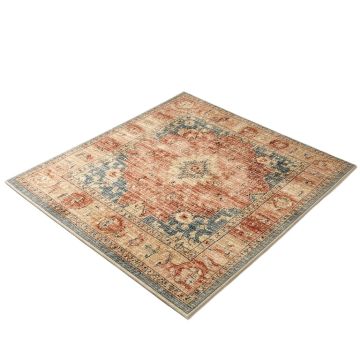 Multi-Colored Area Rug