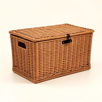25 Gallon Wicker Deck Box (synthetic illustration; no displayed measurements)