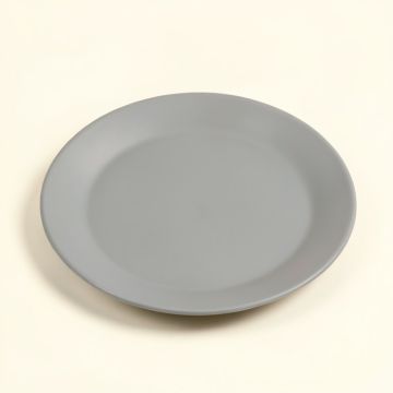 Sighwaldi 9 '' Melamine Salad Plate (synthetic illustration; no displayed measurements)