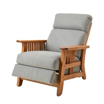 Haller 29.5 '' Wide Power Lift Assist Standard Recliner