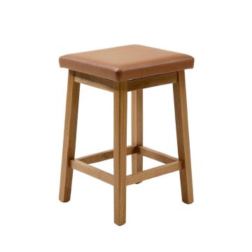 Ayanna Bar & Counter Stool (synthetic illustration; no displayed measurements)