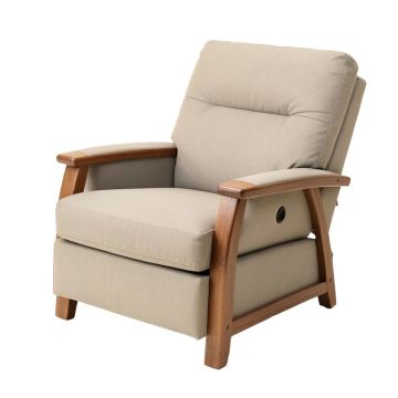49 '' Wide Power Lift Assist Standard Recliner With Massager