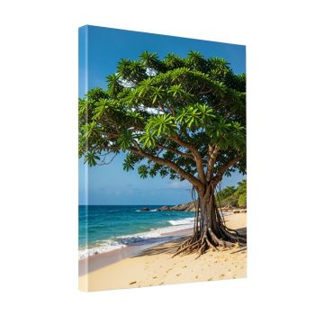 Green Tree On Beach In Kauai Hawaii Photographic Print On Wrapped Canvas
