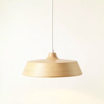 Sage Bend Pendant Light Suspended From One Plain Cable - Beige (synthetic illustration; no displayed measurements)