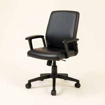 Boylston Task Chair (synthetic illustration; no displayed measurements)