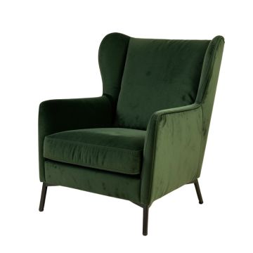 Barry 30 '' Wide Velvet Wingback Chair