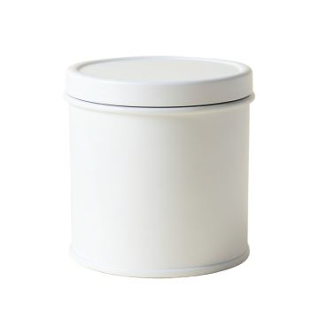 Aspen Branch Storage Canister With Lid - White