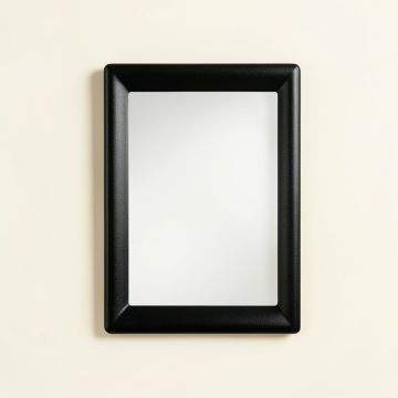 Flint Branch Framed Wall Mirror - Black (synthetic illustration; no displayed measurements)