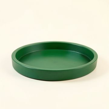 Cove Bluff Serving Tray - Green (synthetic illustration; no displayed measurements)