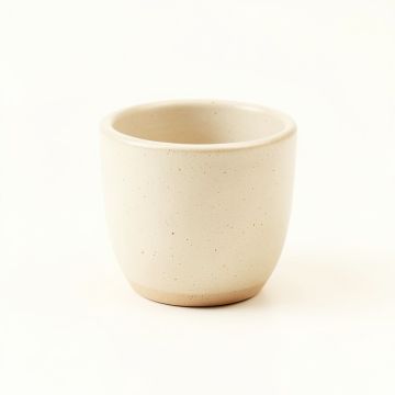 Briar Bridge Empty Candle Holder - Cream (synthetic illustration; no displayed measurements)