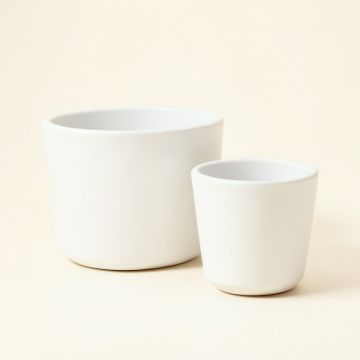 Boligee 2 - Piece Iron Pot Planter Set (synthetic illustration; no displayed measurements)