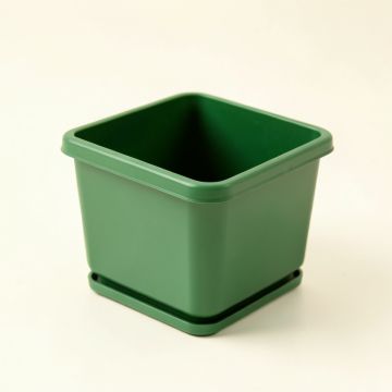 Linden Branch Empty Planter - Green (synthetic illustration; no displayed measurements)